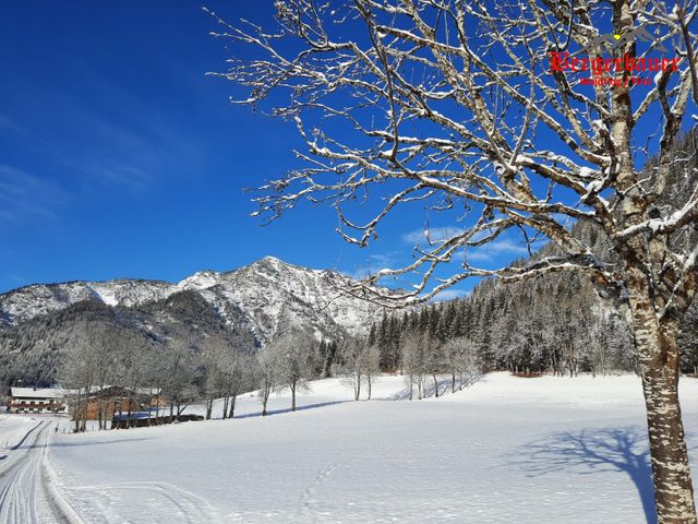 Bergerbauer