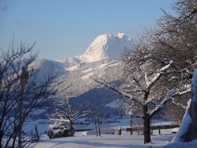 Bergerbauer