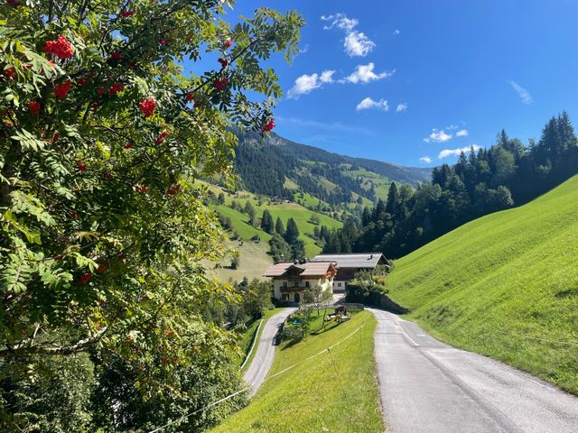 Pfandlinghof